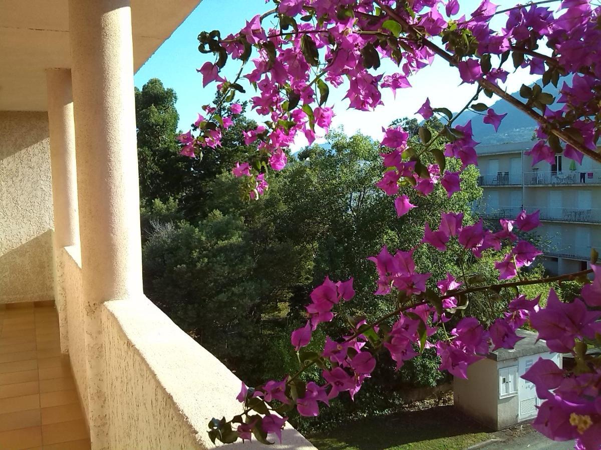 Apartament Cala Di Sognu San-Nicolao Zewnętrze zdjęcie